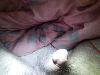 Антон