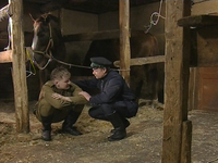 Порно фото из русского порнофильма Чапаев (2003)