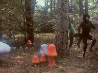 Алиса в Стране чудес | Alice In Wonderland (1976) фото