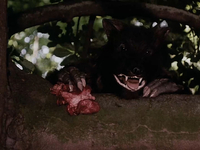 Эротические фото из фильма Аморальные истории (1974)