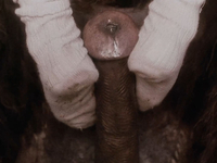 Эротические фото из фильма Аморальные истории (1974)