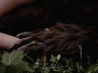 Эротические фото из фильма Аморальные истории (1974)