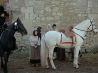 Эротические фото из фильма Аморальные истории (1974)