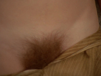 Эротические фото из фильма Аморальные истории (1974)