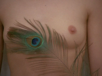 Эротические фото из фильма Аморальные истории (1974)