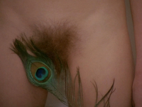 Эротические фото из фильма Аморальные истории (1974)