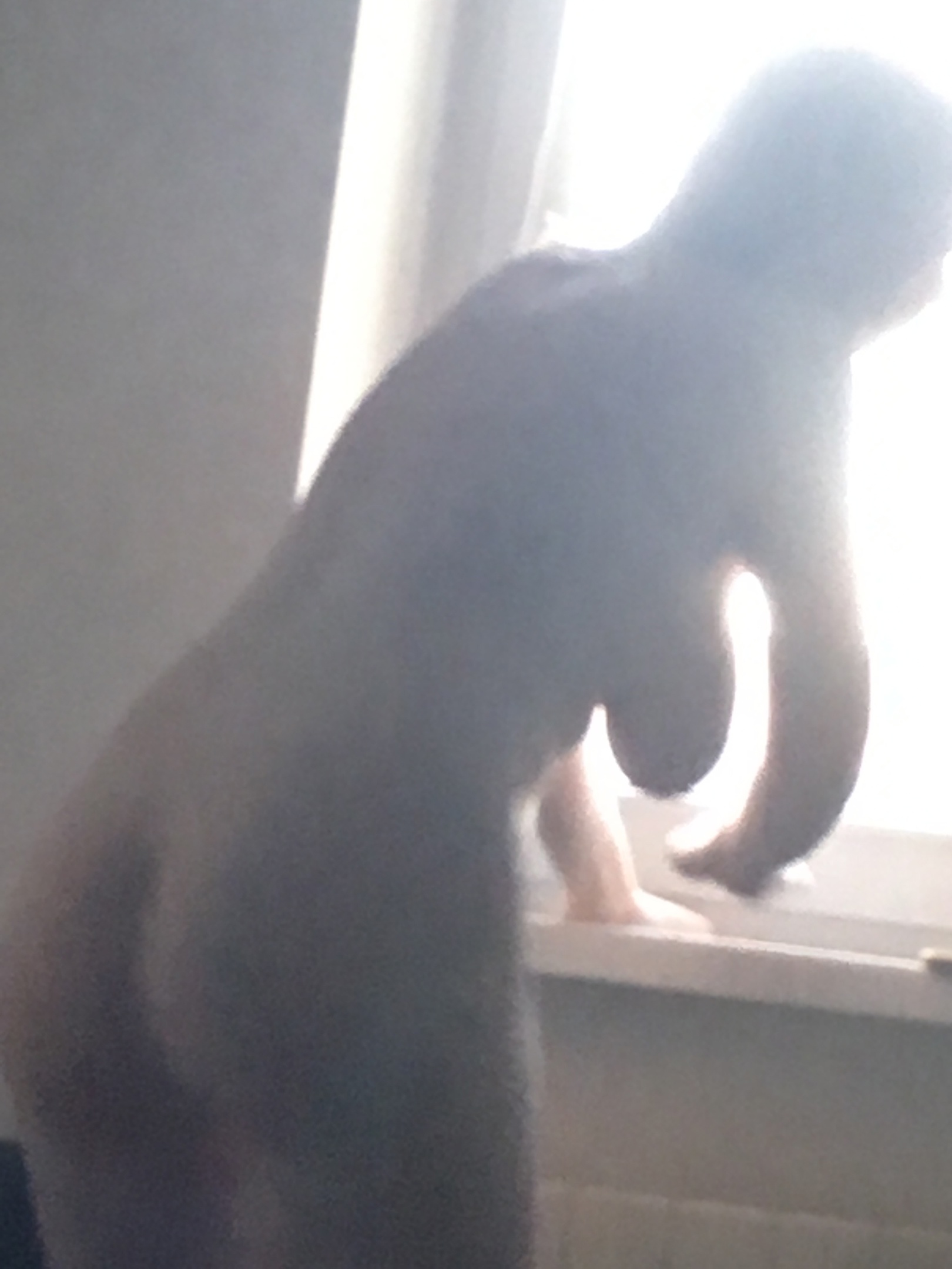 Домашнее порно фото: Секси девушка