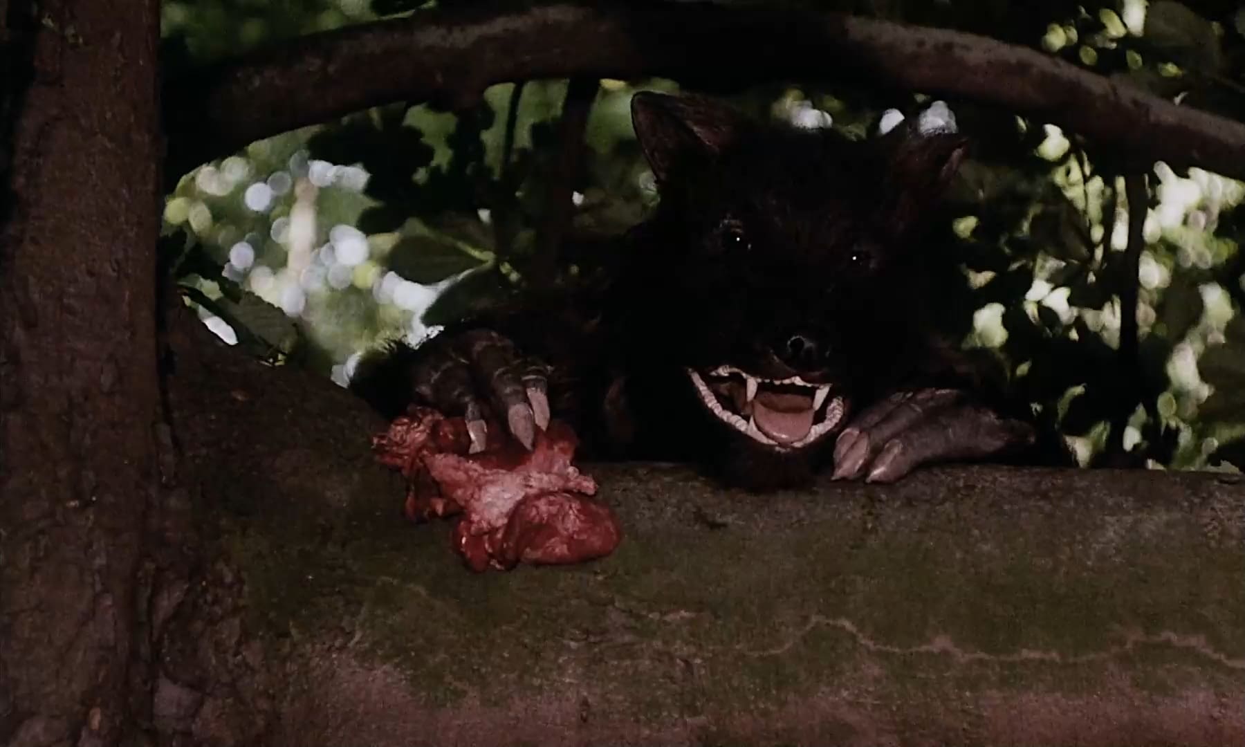 Эротические фото из фильма Аморальные истории (1974)