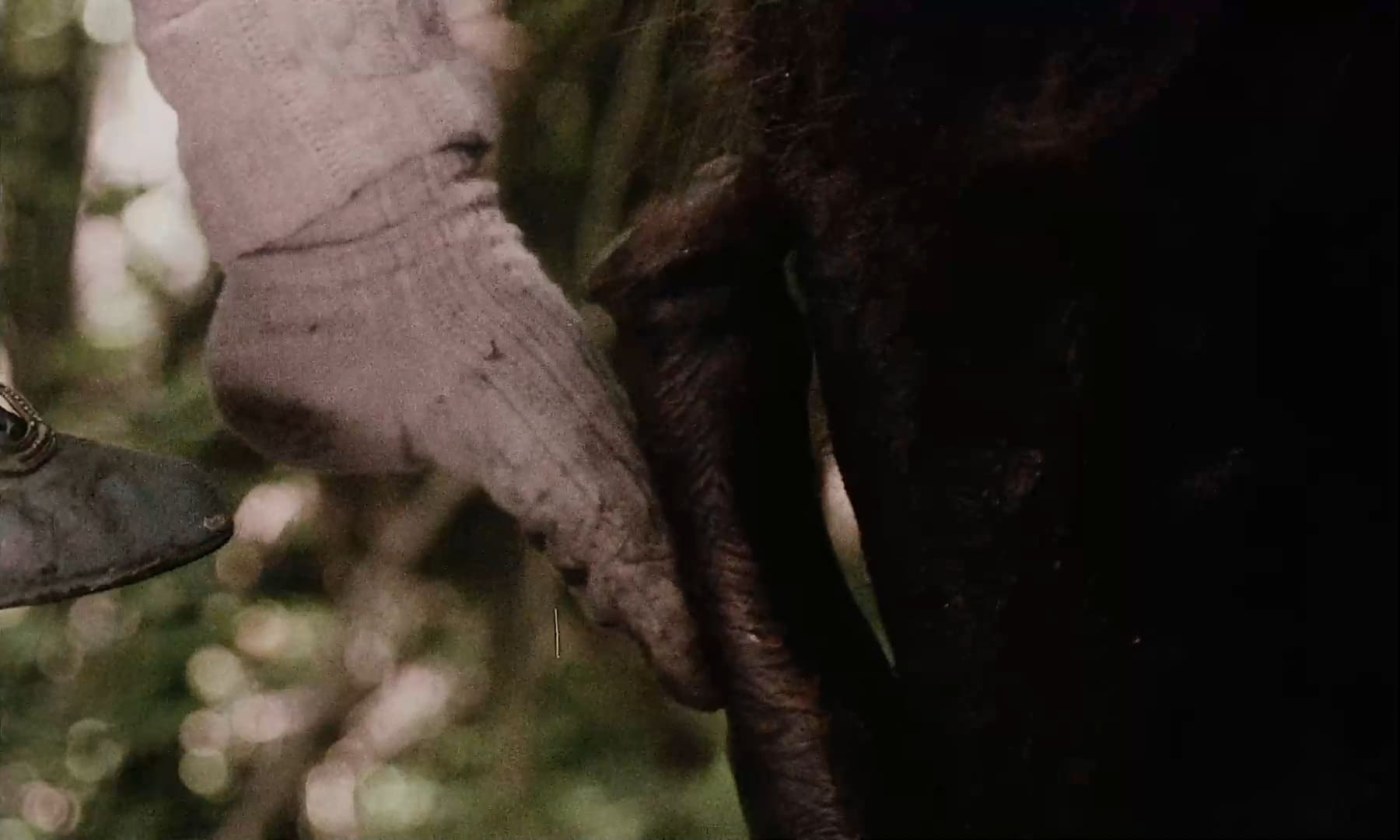 Эротические фото из фильма Аморальные истории (1974)