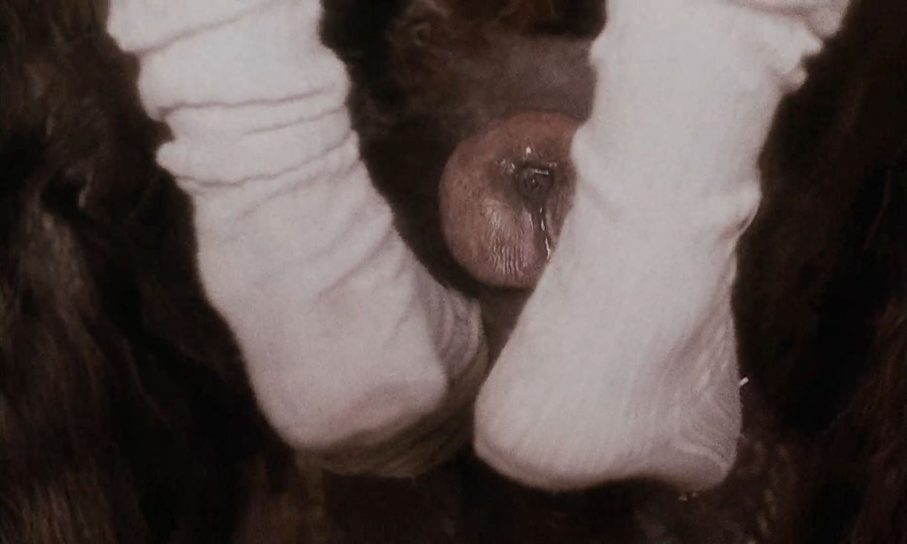 Эротические фото из фильма Аморальные истории (1974)