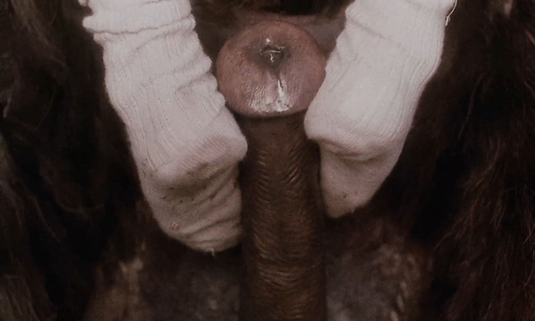 Эротические фото из фильма Аморальные истории (1974)