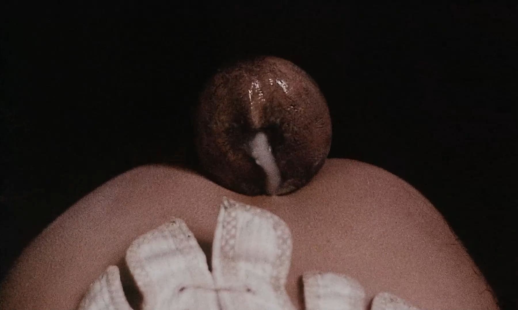 Эротические фото из фильма Аморальные истории (1974)