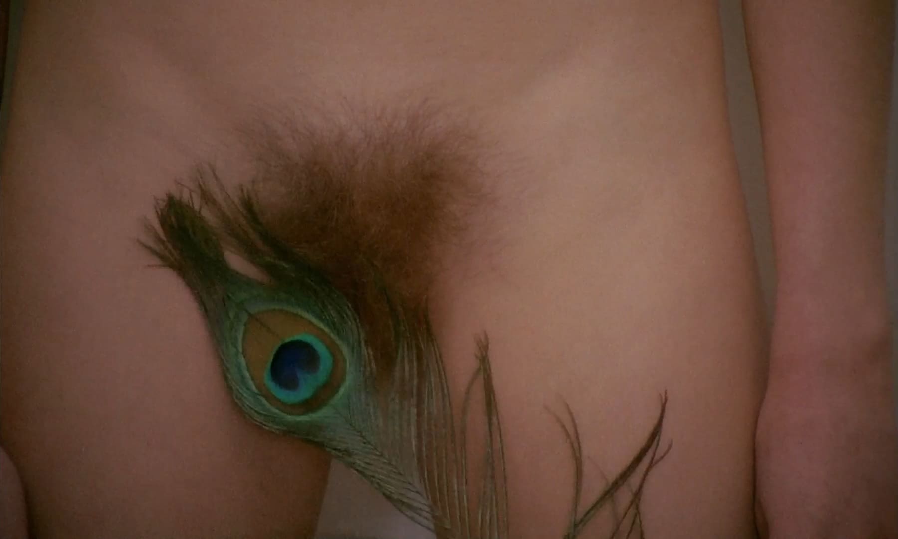 Эротические фото из фильма Аморальные истории (1974)